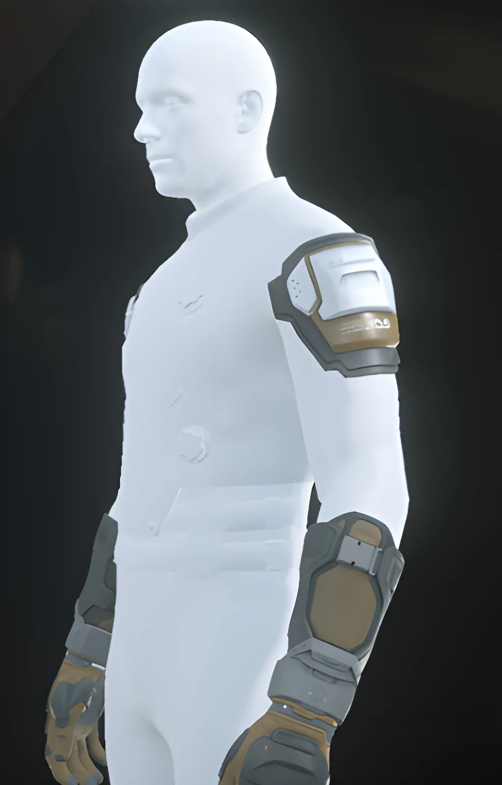 Enlarge PAB-1 Arms Desert